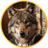 Wolfish OS Logo