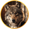 Wolfish OS Logo